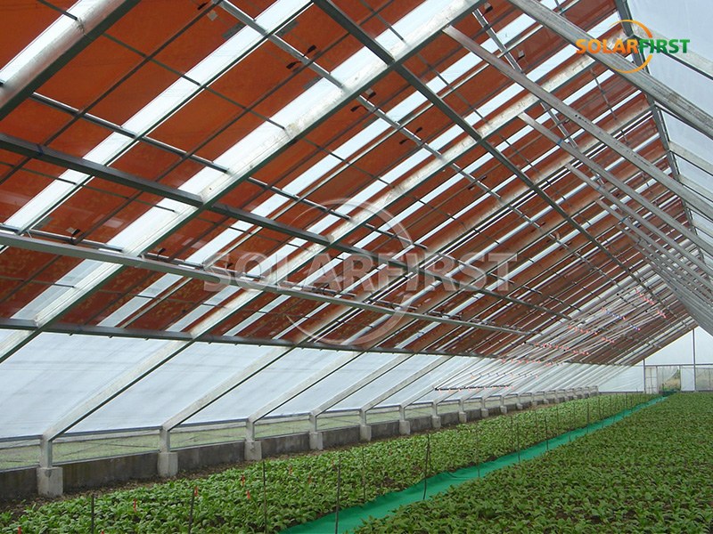425m²  Solar BIPV Greenhouse Solution in UK