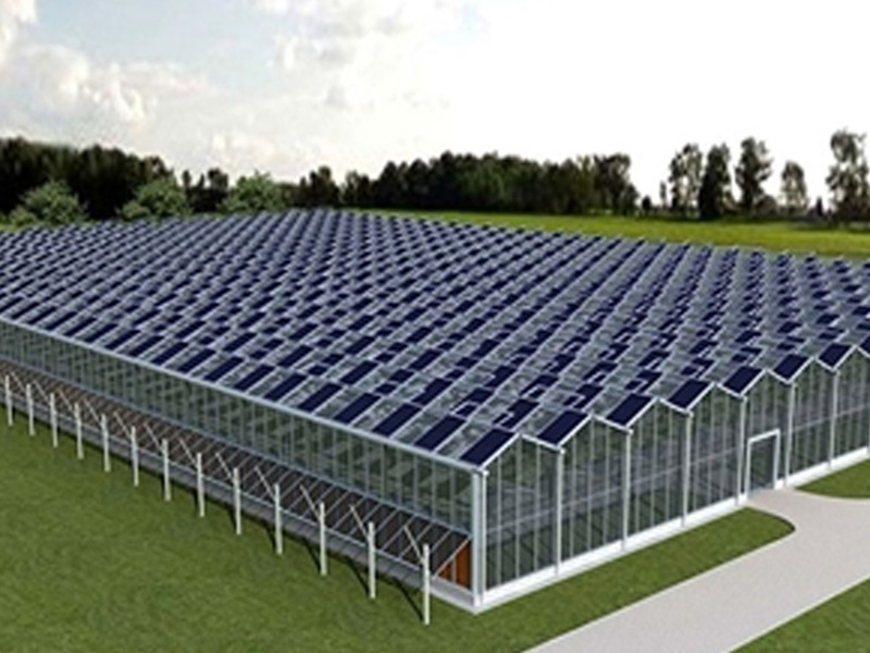 Solar Greenhouse Thermodynamics