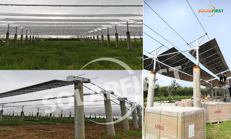 Jiangsu Hongsi 1MWp Flexible Suspension Cable Support-Agricultural and Solar Complementary Project